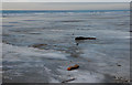 SN6093 : Ice on Ynyslas beach by Nigel Brown