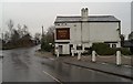 The Hazel Pear, near Acton Bridge Station