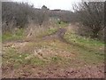 Path leading to Toton from the bank