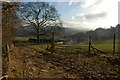 View from the bridleway in Riley Hill Wood