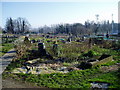 Lancing Manor Park Allotments