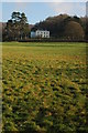 Georgian House at Halesend.