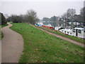 Riverside paths near Teddington Lock