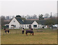 Hunningham Meadows