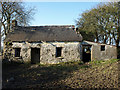 Abandoned Farmstead