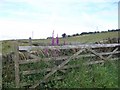 Farm Gate, Holdworth Lane, Holdworth, near Oughtibridge