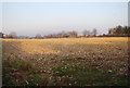 Stubble field, East Budleigh