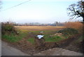 Field of sweetcorn stubble, East of Frogmore Rd