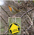 TG3027 : Footpath marker with Robin (Erithacus rubecula) by Evelyn Simak