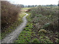 Path between Royshaw Avenue and  Carham Road