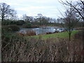 TL6455 : Pond near Burrough Green by Hugh Venables