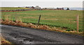 Farmland near Kirkness