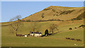 Fields around Pengwernydd farm