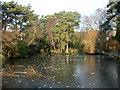 Poole, Coy Pond