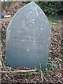 Pawlett family graves at Walton West