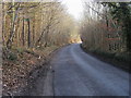 Lane nearing Chisbridge Cross