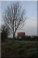 Gasometer past the tree