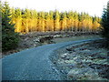 NX2776 : Forest Track Near Arnsheen by Iain Thompson