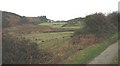 Marshy valley floor above Tyddyn Rhydderch