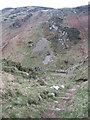 SH3994 : View down the steps to the col at the head of Porth Cynfor by Eric Jones
