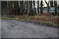 Road leading to Muirskeith, Scobshaugh and Prosenhaugh