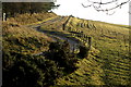 Farm Road leading to Bearfauld Hostel and Coiliamy Farm