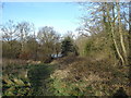 Chantry park, with the lake just visible through the trees