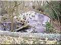 Frozen waters at Spring Pond