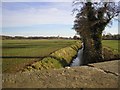 River Wissey from Bridge at Hale Road