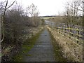 Farm track which provides access to the north part of Whittle Dene