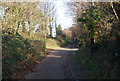 The remains of Old Teignmouth Rd