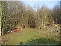 Footpath through the woods from St Alban