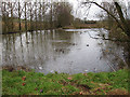 Semi-frozen pond, Frogmore