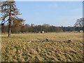 Footpath on St Alban