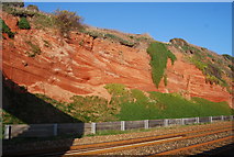 SX9777 : Cross bedded Red Triassic Sandstone Cliffs by N Chadwick
