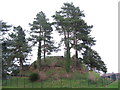 Motte, Antrim Castle Grounds