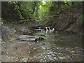 The Ghyll, Hastings