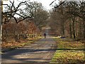 Bridleway through Oakly Park