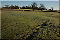 Fields near Chastleton