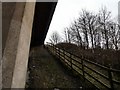 Underside of the M67