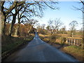 Country road near Nether Blainslie