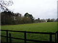 Gormoor Farm field