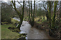 The Camddwr near Llwynbeudy