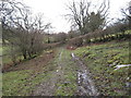 Muddy lane near Brithdir