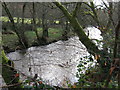 Afon Alwen