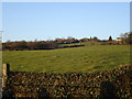 J3485 : Farmland near the Knockagh Road by Albert Thompson