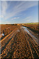 NO4047 : Muddy farm track by Dan