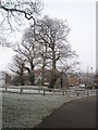 Looking across to Nightingale Close from path just past Kingfisher Close