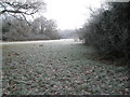 A frosty meadow behind Castle Road