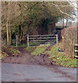 Bridleway in Marton Spinney